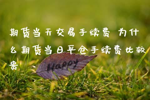 期货当天交易手续费 为什么期货当日平仓手续费比较贵