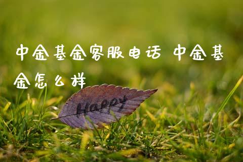 基金客服电话 基金怎么样