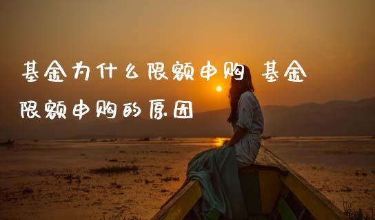 基金为什么限额申购 基金限额申购的原因