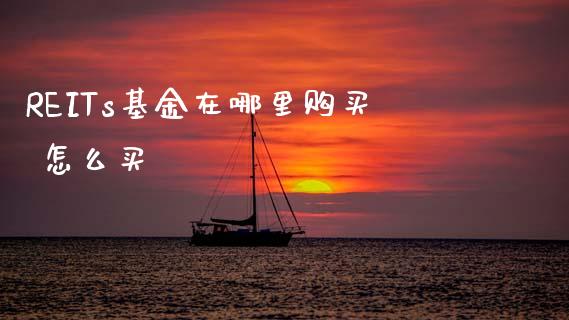 REITs基金在哪里购买 怎么买