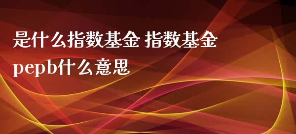 是什么指数基金 指数基金pepb什么意思