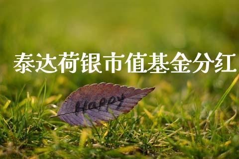 泰达荷银市值基金分红