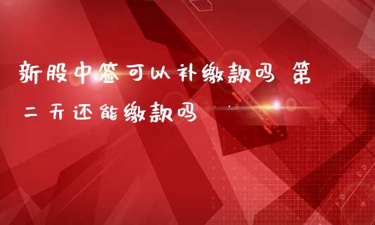 新股中签可以补缴款吗 第二天还能缴款吗