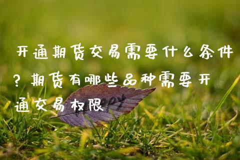 开通期货交易需要什么条件? 期货有哪些品种需要开通交易权限