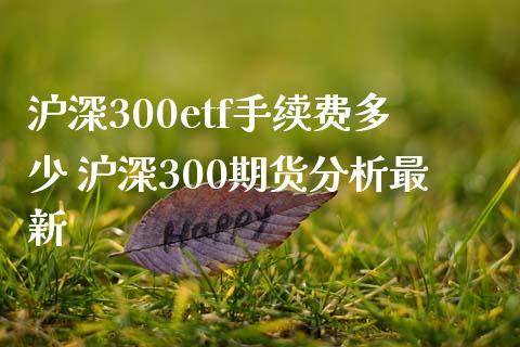 沪深300etf手续费多少 沪深300期货分析最新