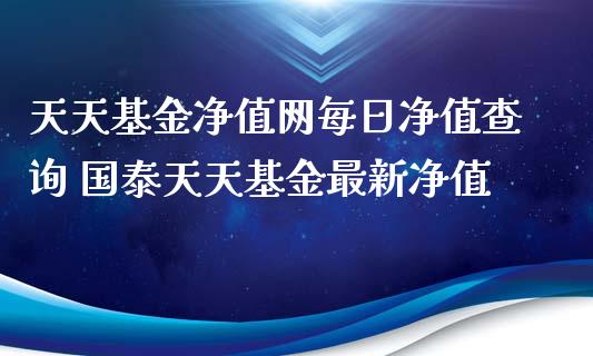 天天基金净值网每日净值查询 国泰天天基金最新净值