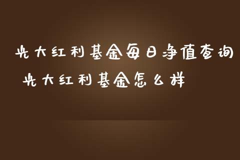 光大红利基金每日净值查询 光大红利基金怎么样