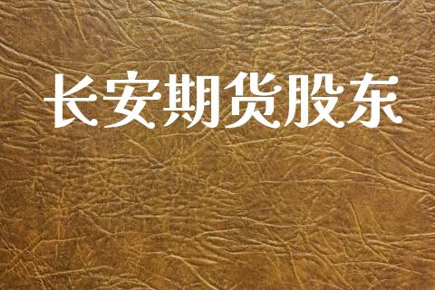 长安期货股东