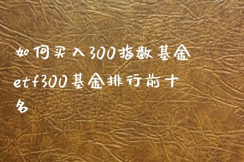 如何买入300指数基金 etf300基金排行前十名