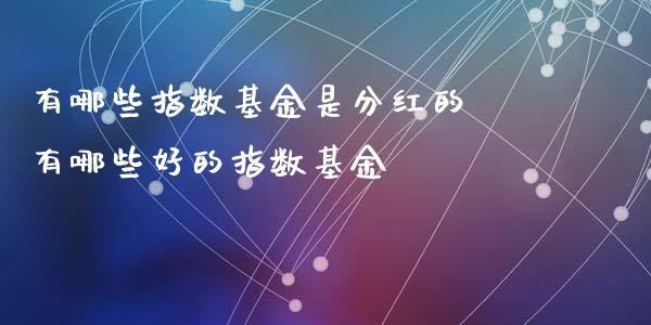 有哪些指数基金是分红的 有哪些好的指数基金