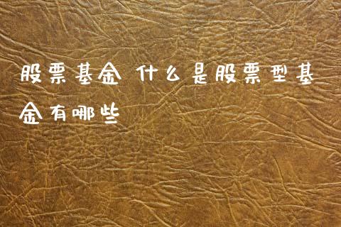 股票基金 什么是股票型基金有哪些