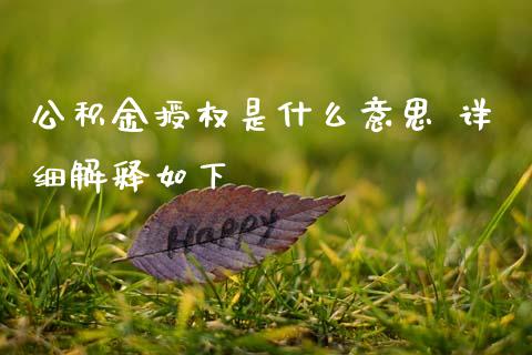 公积金授权是什么意思 详细解释如下
