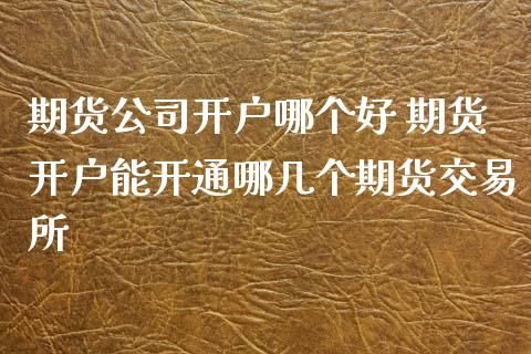期货公司开户哪个好 期货开户能开通哪几个期货交易所