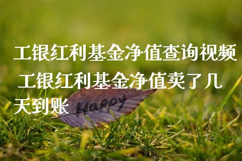 工银红利基金净值查询视频 工银红利基金净值卖了几天到账