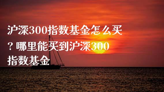沪深300指数基金怎么买? 哪里能买到沪深300指数基金