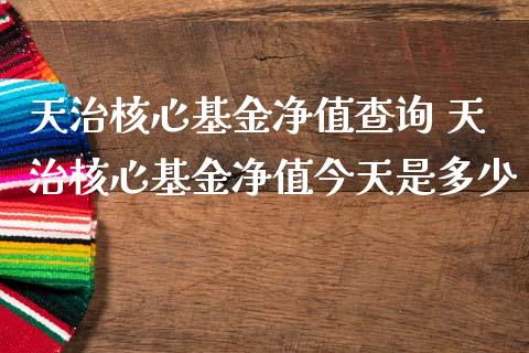天治核心基金净值查询 天治核心基金净值今天是多少