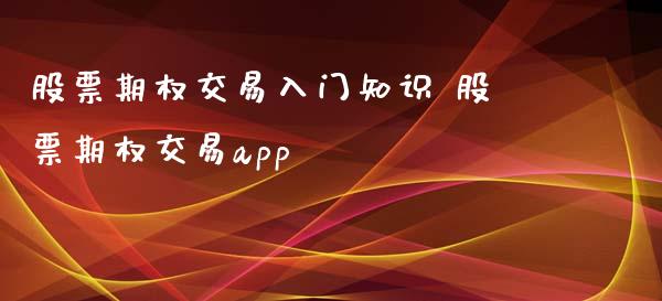 股票期权交易入门知识 股票期权交易app