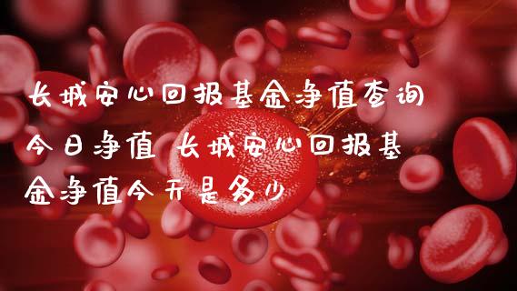长城安心回报基金净值查询今日净值 长城安心回报基金净值今天是多少
