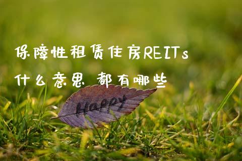 保障性住房REITs什么意思 都有哪些