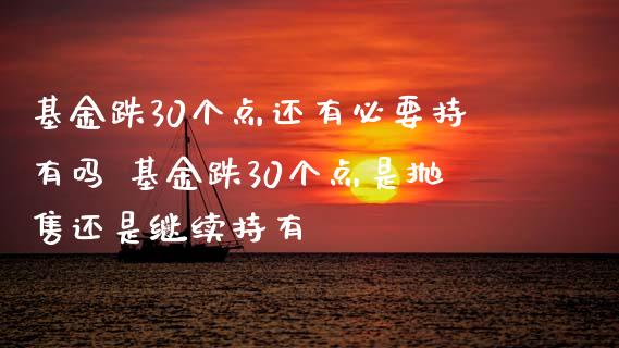 基金跌30个点还有必要持有吗 基金跌30个点是抛售还是继续持有