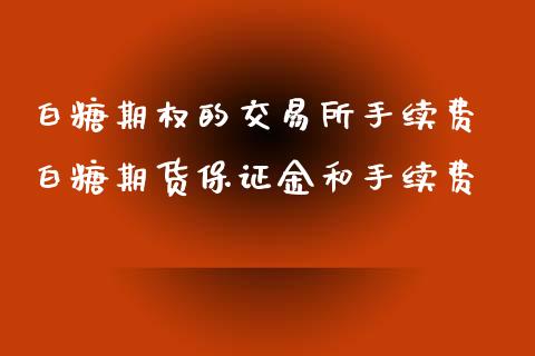 白糖期权的交易所手续费 白糖期货保证金和手续费