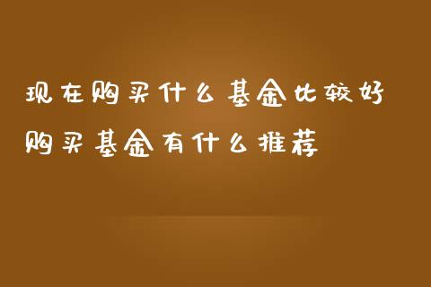 现在购买什么基金比较好 购买基金有什么推荐