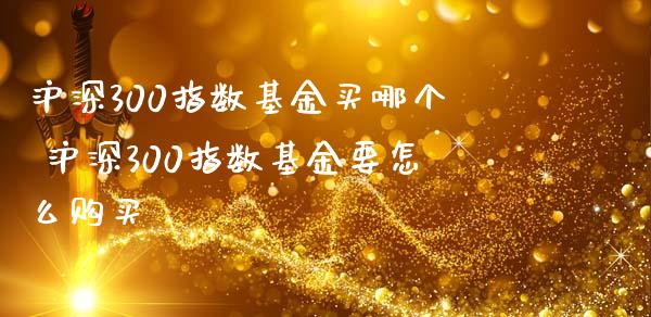 沪深300指数基金买哪个 沪深300指数基金要怎么购买