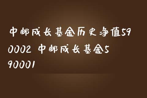 中邮成长基金历史净值590002 中邮成长基金590001