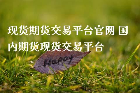 现货期货交易平台 国内期货现货交易平台