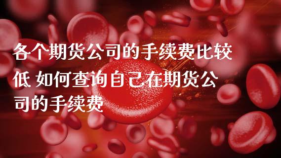 各个期货公司的手续费比较低 如何查询自己在期货公司的手续费