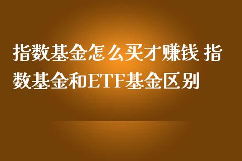 指数基金怎么买才赚钱 指数基金和ETF基金区别