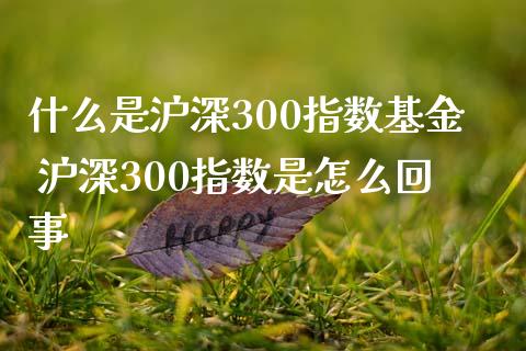 什么是沪深300指数基金 沪深300指数是怎么回事