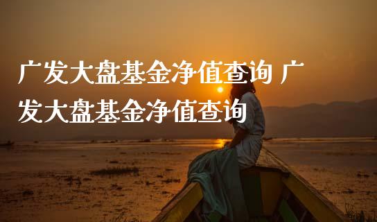 广发大盘基金净值查询 广发大盘基金净值查询