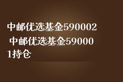 中邮优选基金590002 中邮优选基金590001持仓