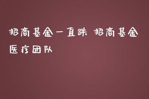 招商基金一直跌 招商基金医疗团队