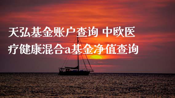 天弘基金账户查询 中欧医疗健康混合a基金净值查询