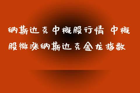 纳斯达克中概股行情 中概股微涨纳斯达克金龙指数