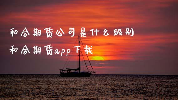 和合期货公司是什么级别 和合期货app下载