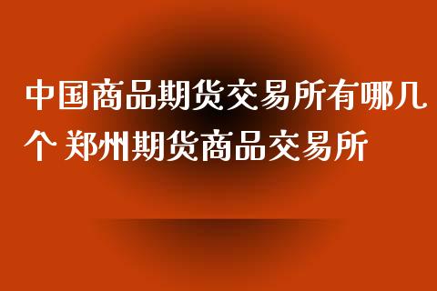 中国商品期货交易所有哪几个 郑州期货商品交易所