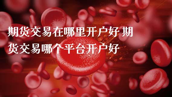 期货交易在哪里开户好 期货交易哪个平台开户好