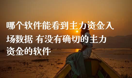 哪个软件能看到主力资金入场数据 有没有确切的主力资金的软件