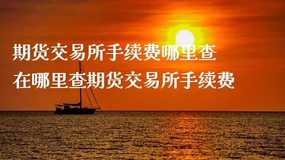 期货交易所手续费哪里查 在哪里查期货交易所手续费