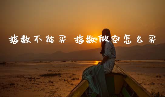 指数不能买 指数做空怎么买