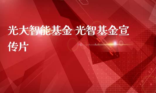 光大智能基金 光智基金宣传片