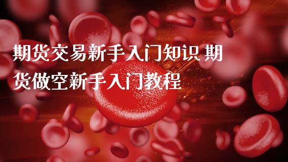 期货交易新手入门知识 期货做空新手入门教程