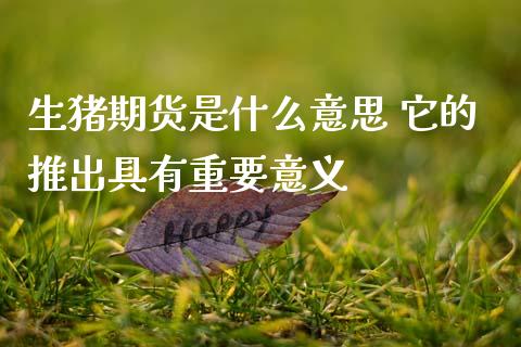 生猪期货是什么意思 它的推出具有重要意义