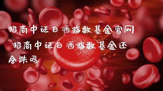 招商中证白酒指数基金 招商中证白酒指数基金还会跌吗
