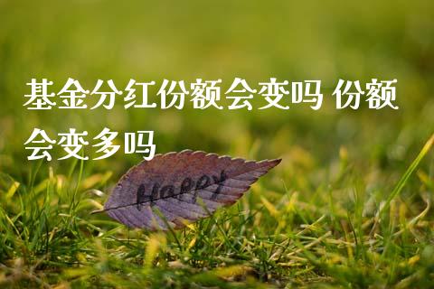 基金分红份额会变吗 份额会变多吗