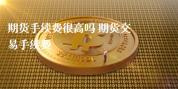期货手续费很高吗 期货交易手续费