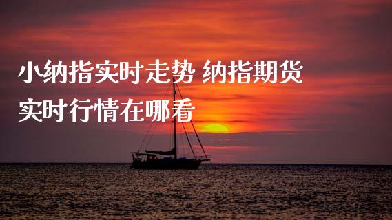 小纳指实时走势 纳指期货实时行情在哪看